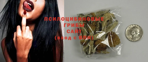 дмт Арсеньев
