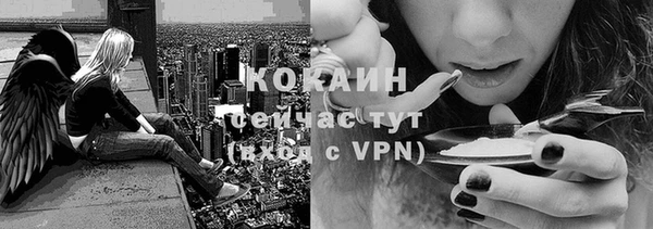 дмт Арсеньев