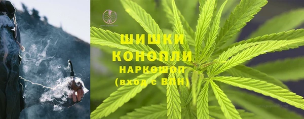дмт Арсеньев